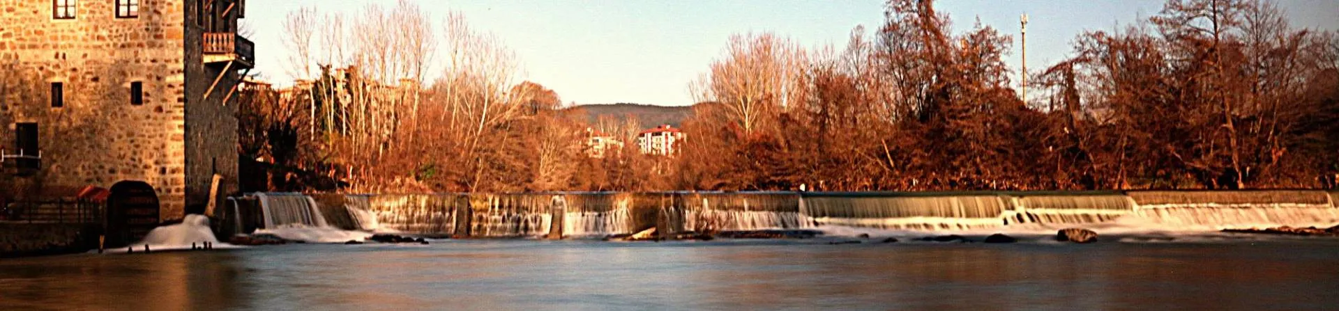 بارتين photo
