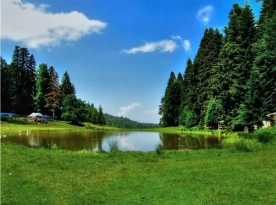 دوزجي photo