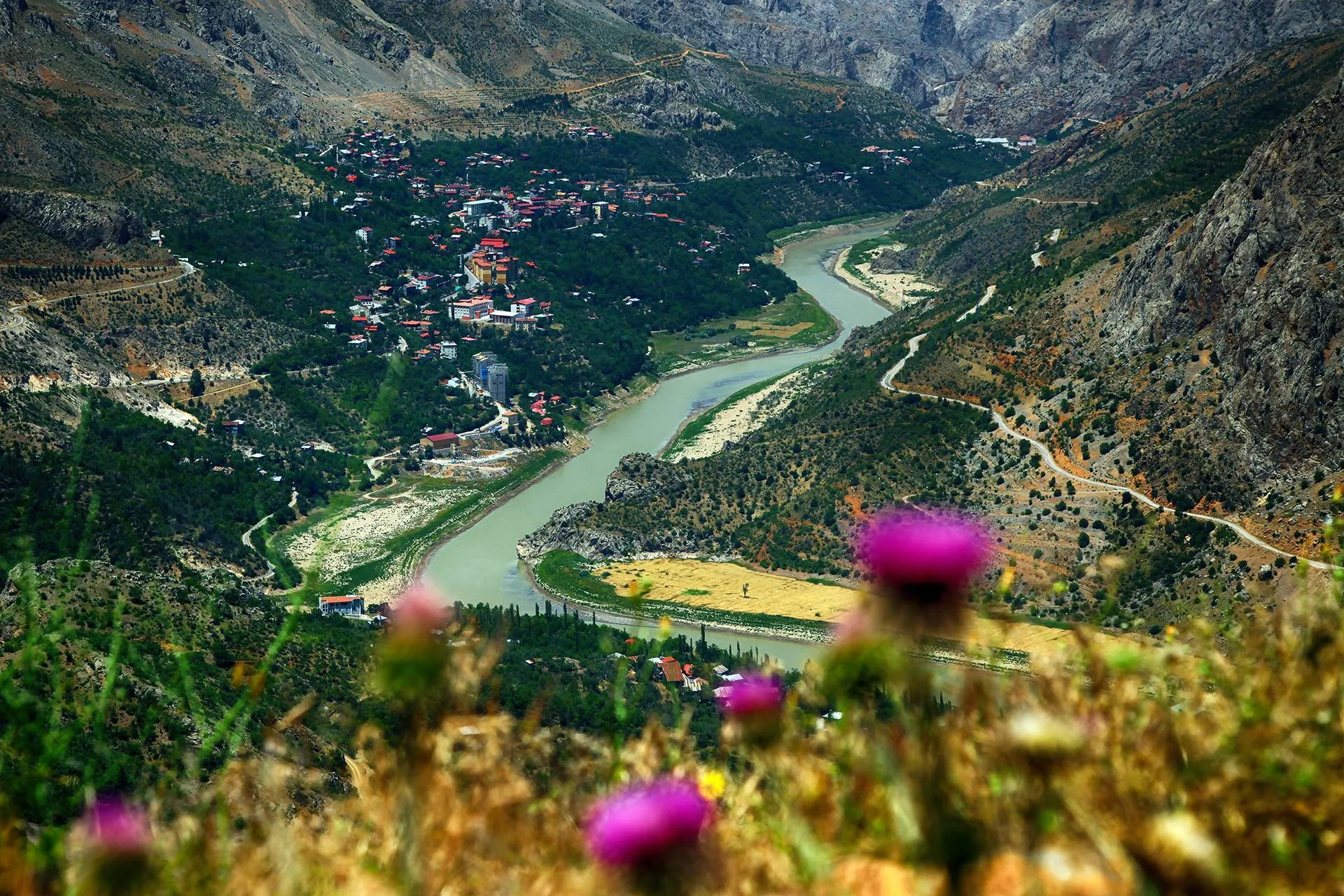 ارزينجان