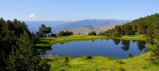 جوموشان photo