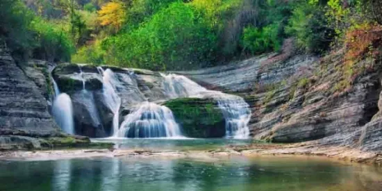سامسون photo