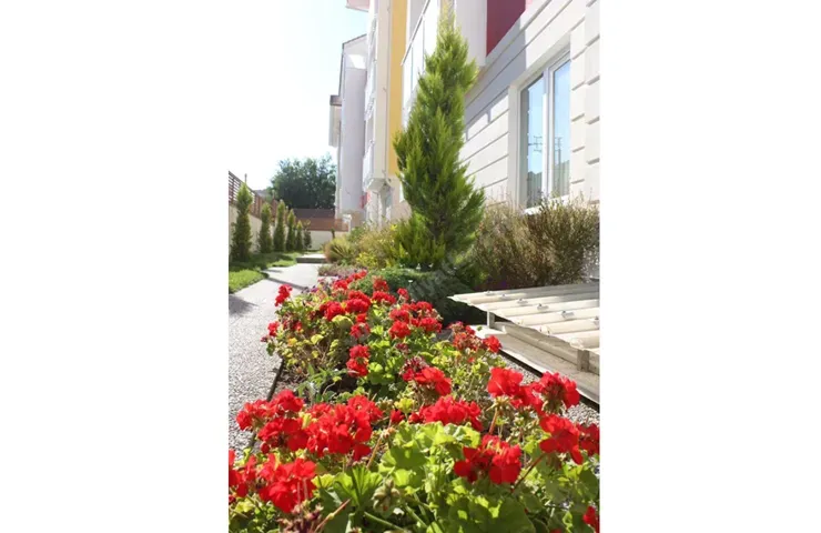 Gençlik ve Spor Bakanlığı  Özel Rengarenk Yüksek Öğretim Erkek Öğrenci Yurdu picture